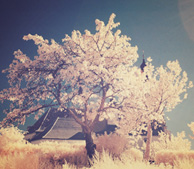 怎么去攻击一个网站与防护